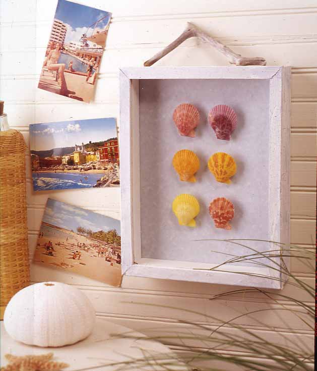 [ashells+in+box.jpg]