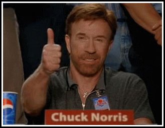 chuck%2Bnorris%2Baprova.jpg