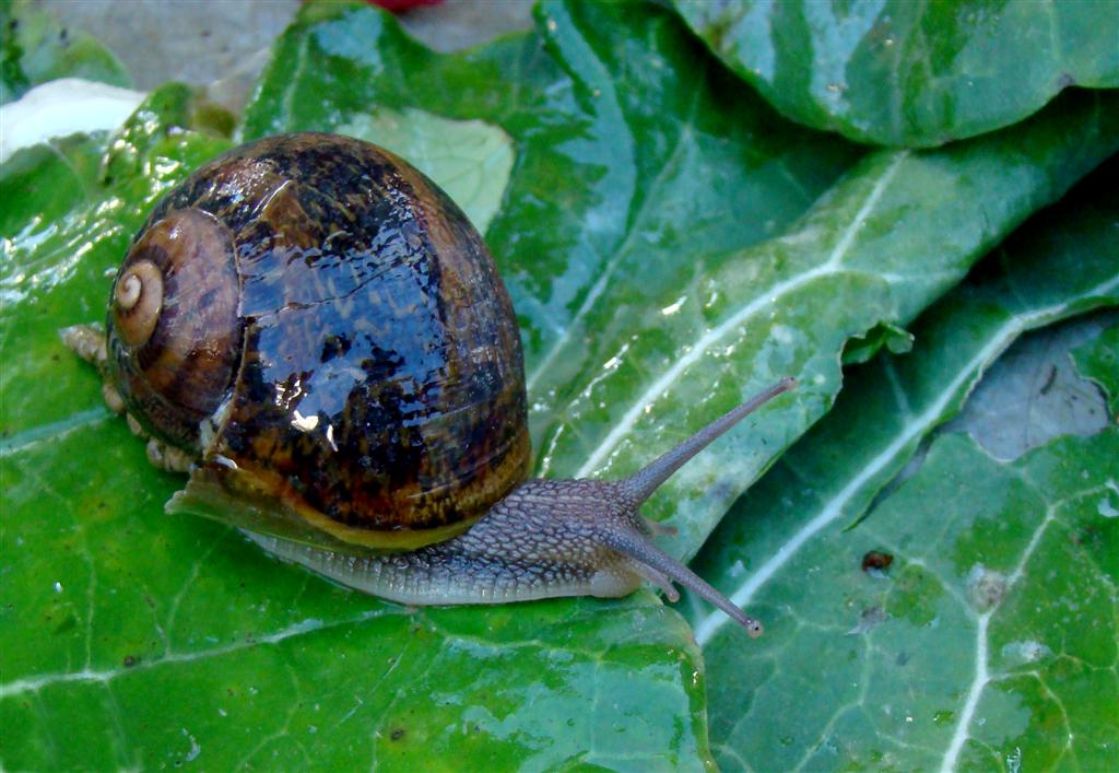 [2009-12-19+033a+(Large).jpg]