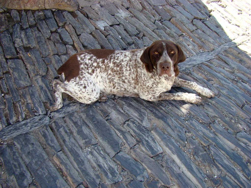 [2009-08-26+150+(Large).jpg]