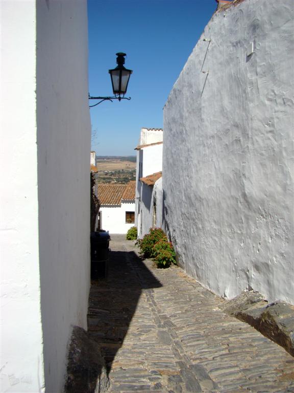 [2009-08-26+026+(Large).jpg]