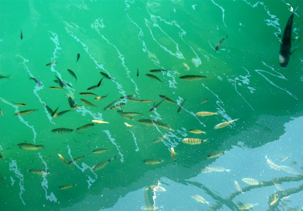 [2009-09-12+009+(Large).jpg]