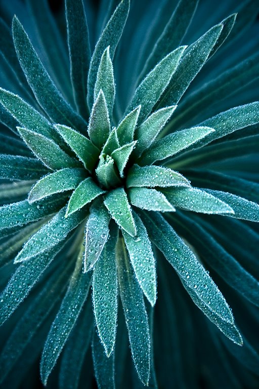 [WCCA-0906-14B-Green+and+Blue.jpg]