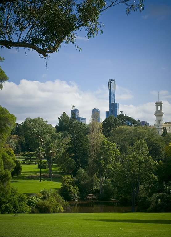 [WCCA-0906-14A-Sunday+in+the+park.jpg]