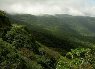 Nature India Tours: (2nd Batch) Amboli Ghat, Biodiversity Hotspot (04th  August - 06th August'2011)