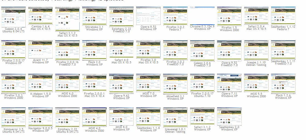 [browsershots.png]