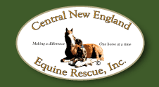 CNEER Rescue Central