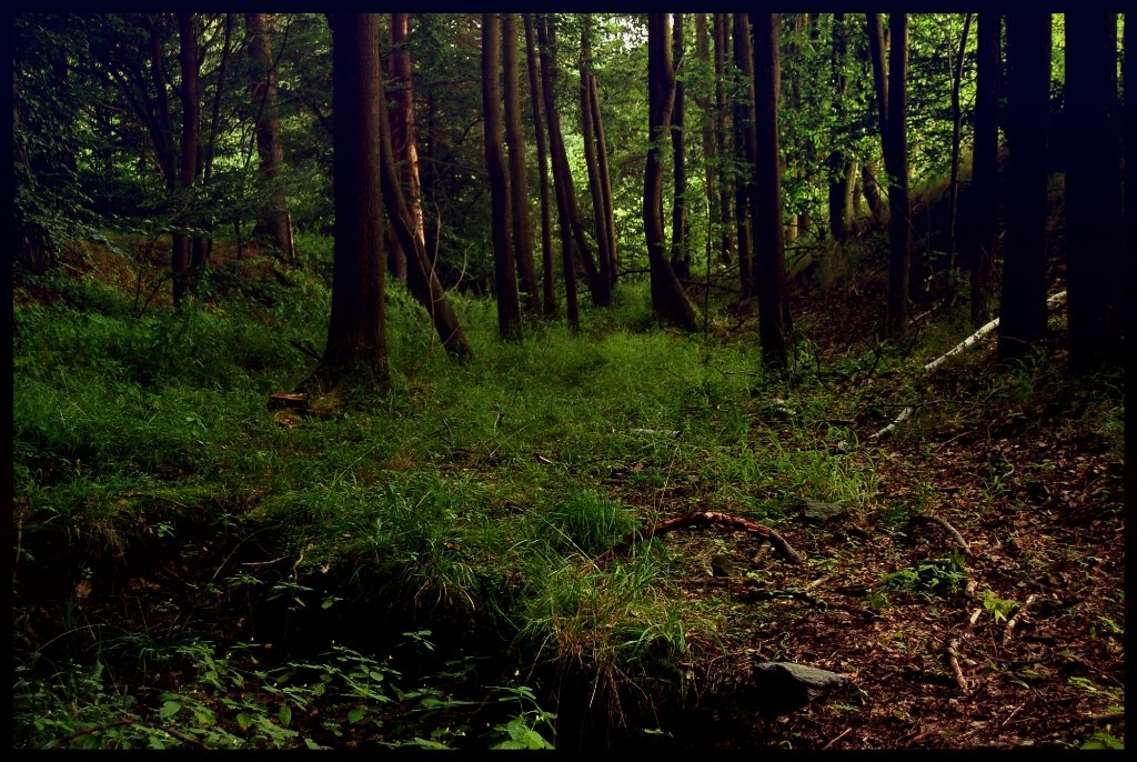 [19-07-09(2)+zmensene.jpg]