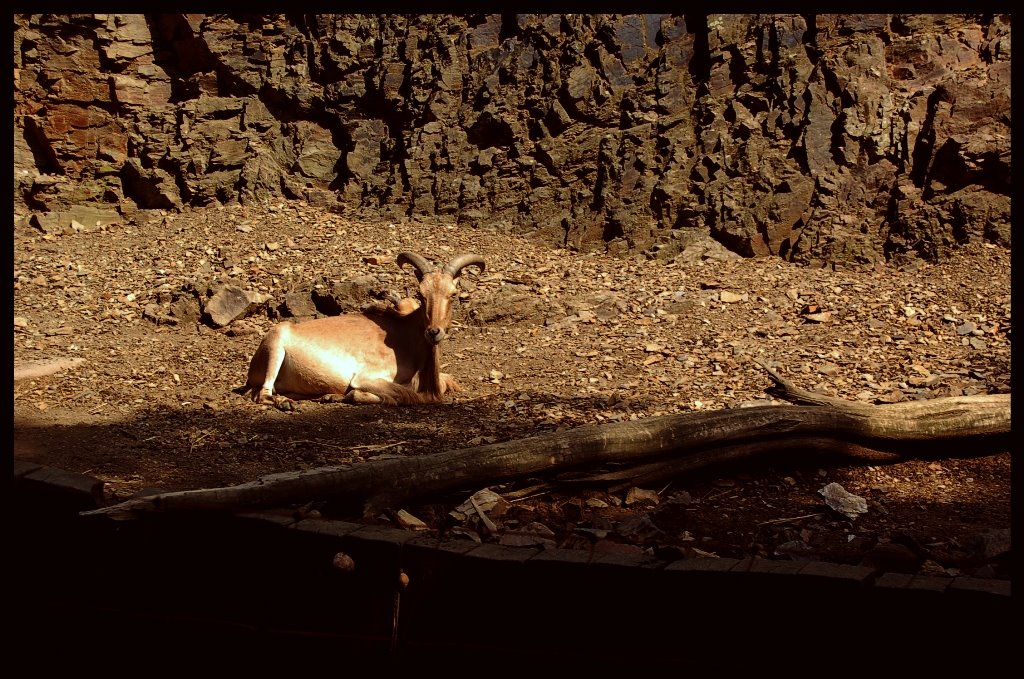 [24-07-09(5)+zmensene.jpg]