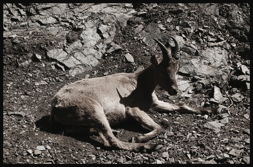 [24-07-09(6)+zmensene.jpg]