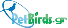 petbirds