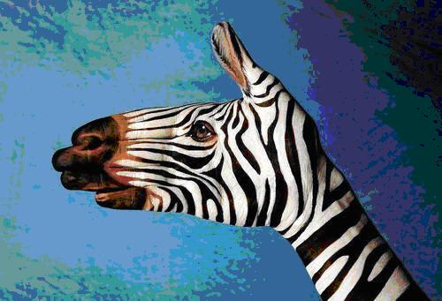 [Zebra..JPG]