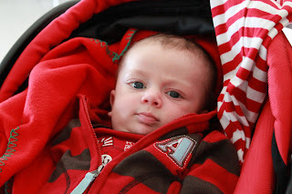 rencontre tristan et iseult