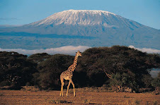 Mt. Kilimanjaro