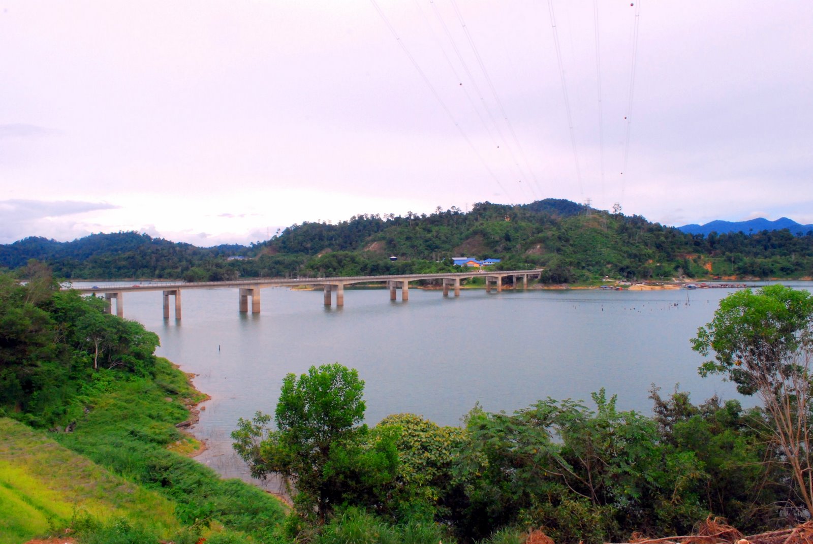 [DSC_0465_1.JPG]