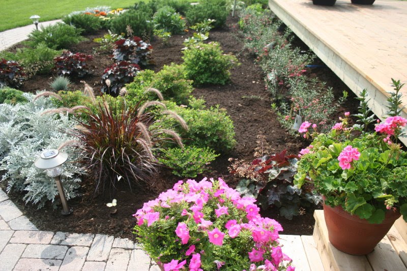 Rod's Garden Report: August 2010