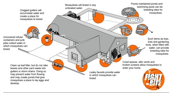[mosquitobreedingsites1.JPG]