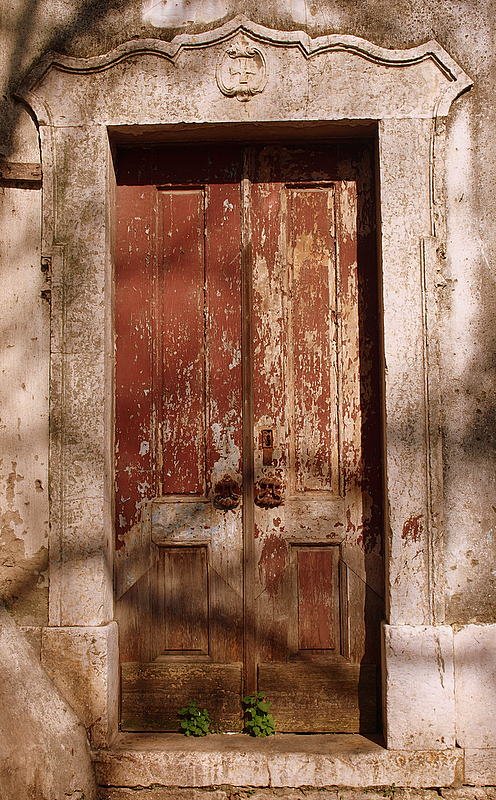 [P2245609.JPG]