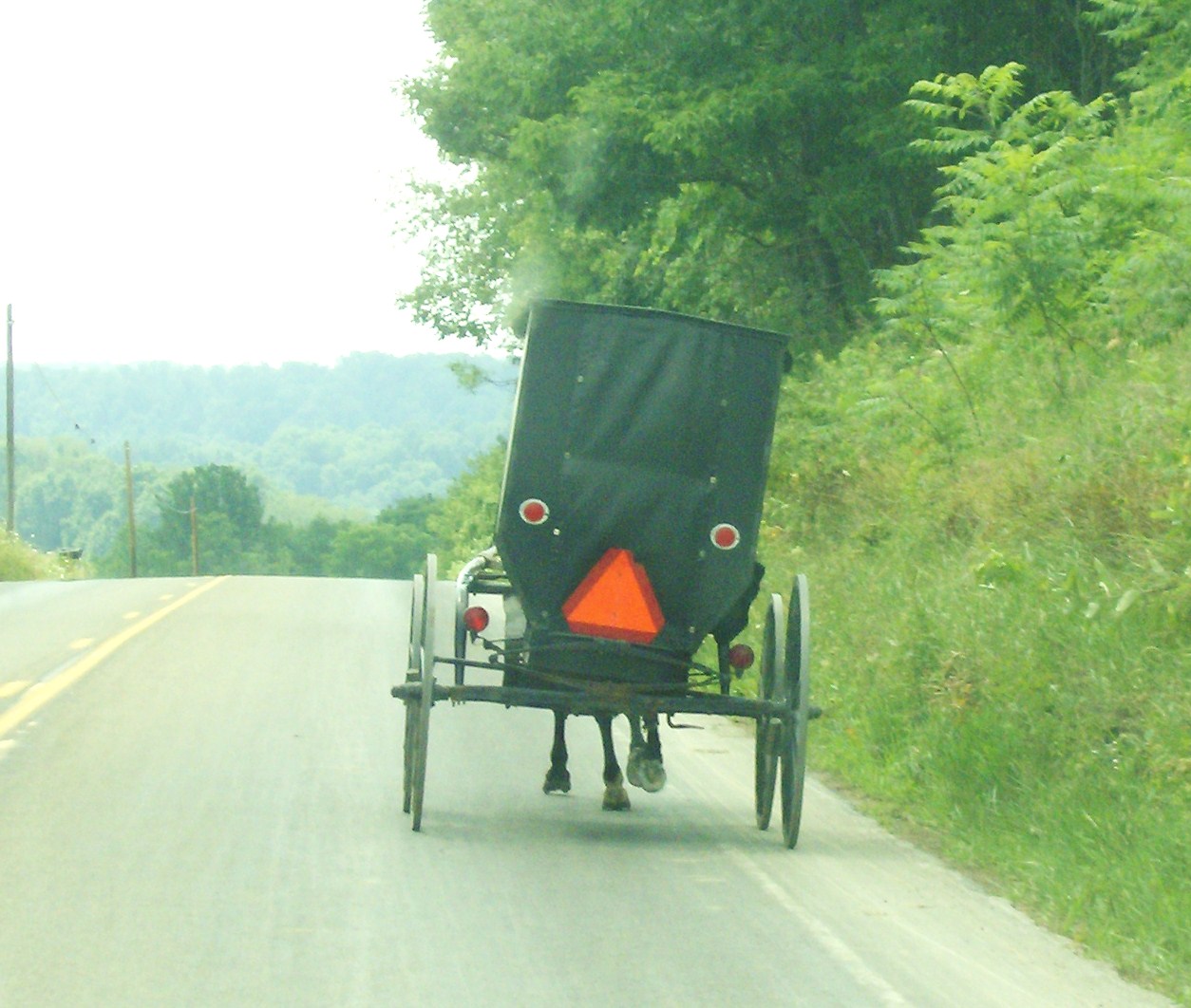 SMICKSBURG PA AMISH BENEZETTE ELK COUNTRY PUNXSUTAWNEY PHIL