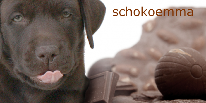 schokoemma