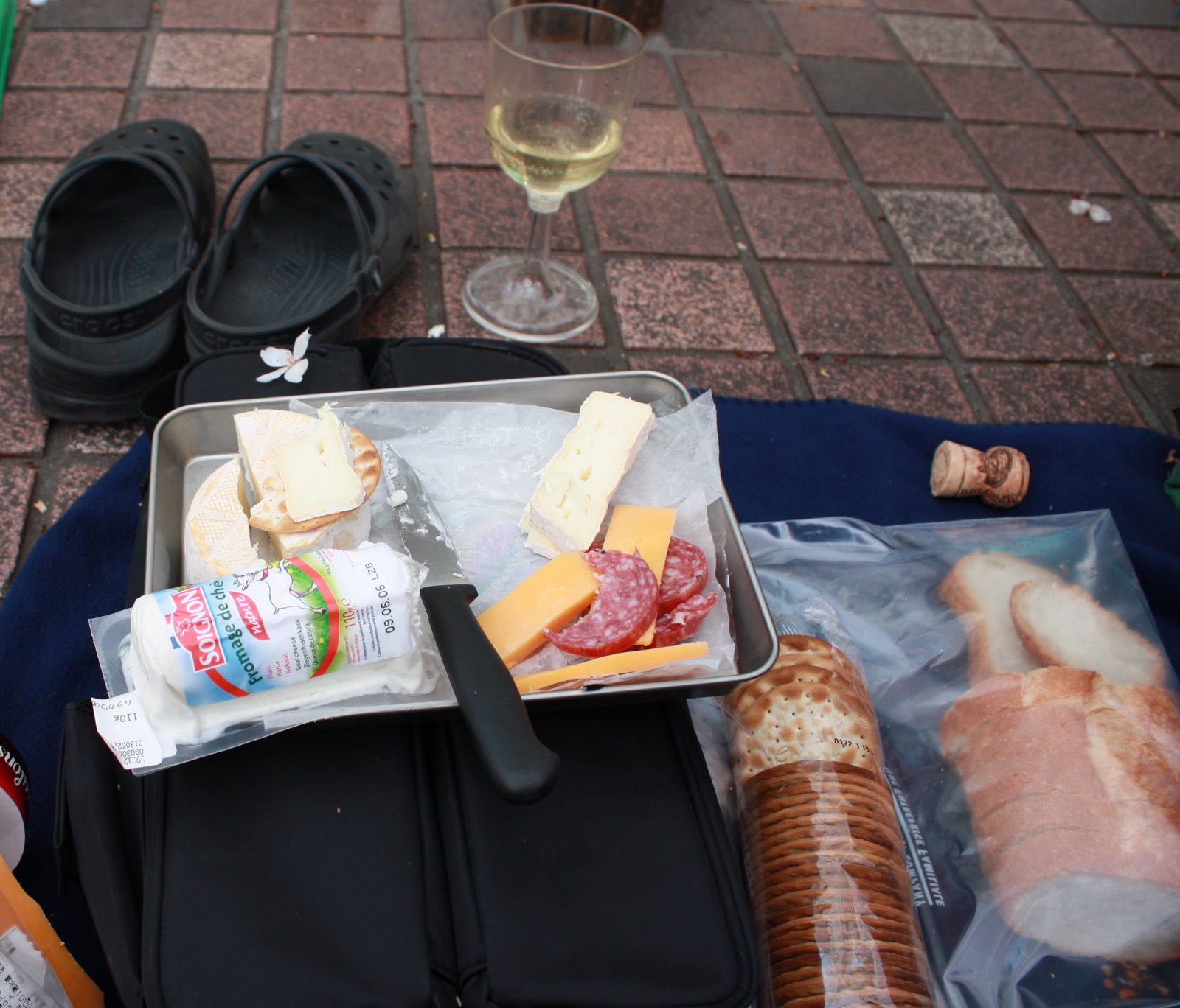 [hanami+picnic.jpg]