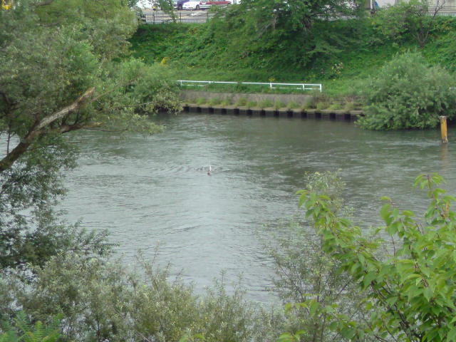 [20090822102235-777262.jpg]