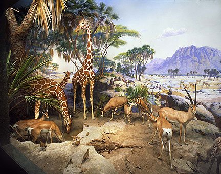 [076.Water.hole.jpg]