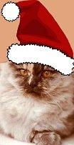 Felices Fiestas