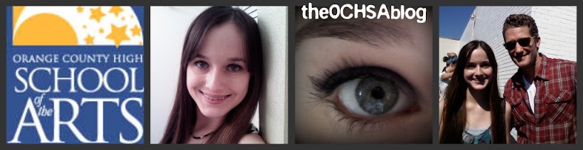 theOCHSAblog