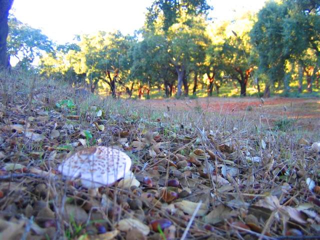 [12+IMG_4822.JPG]