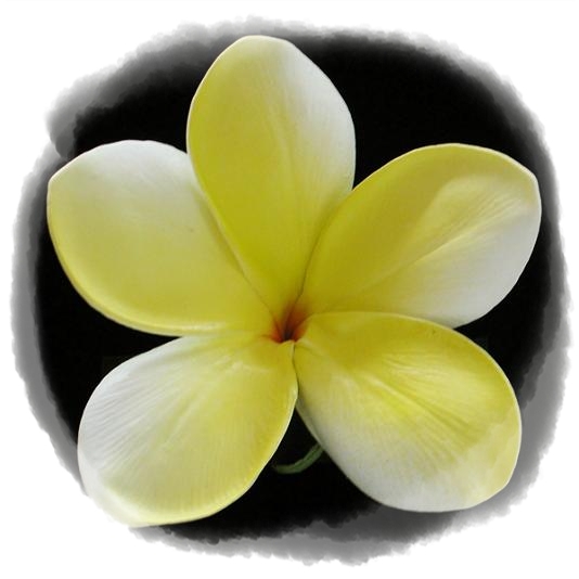 Artificial Wedding Flowers and Bouquets Australia Frangipani Special