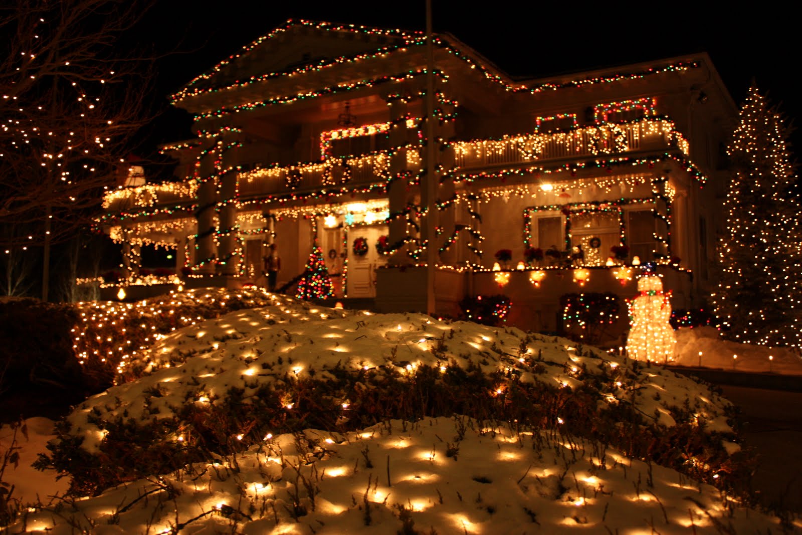 Images of HeART Christmas Lights the Governor's Mansion