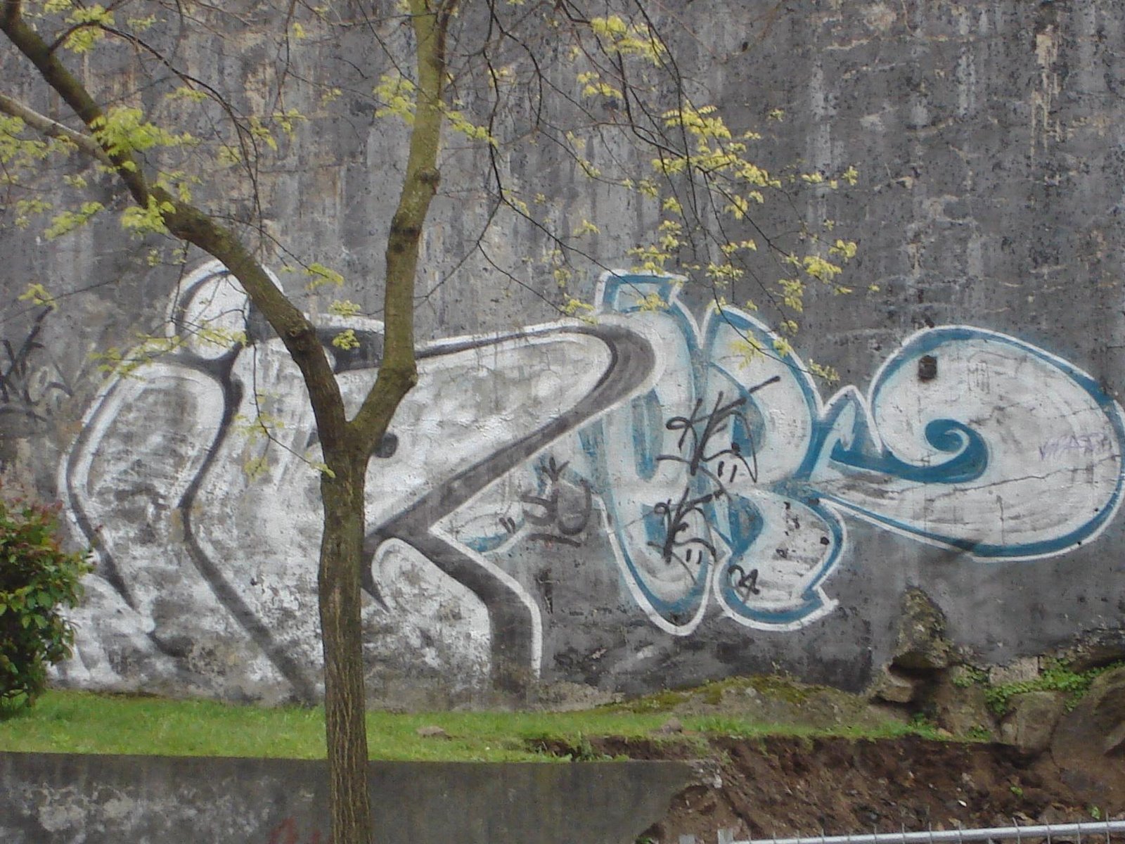 [DSC01196+(Custom).JPG]