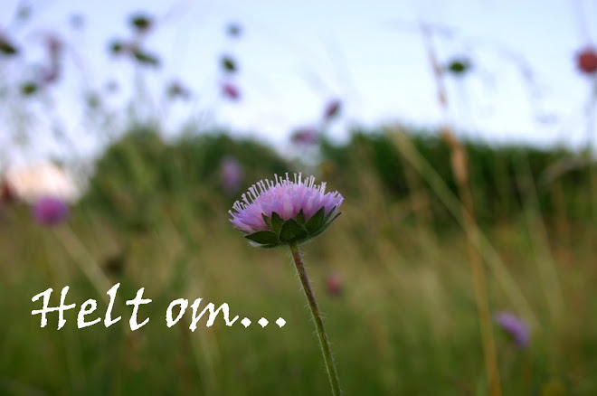 En Pärla Bland Juveler