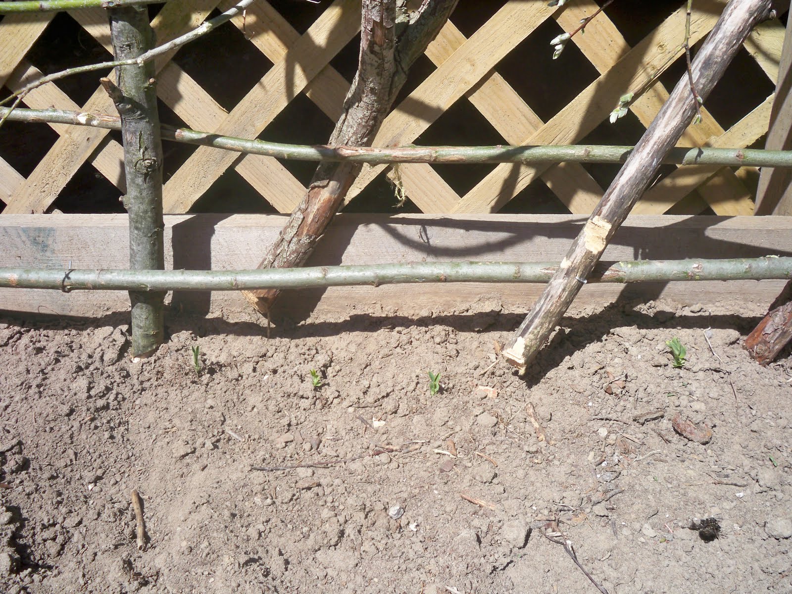 Stitches In Time How To Build A Rustic Twig Trellis