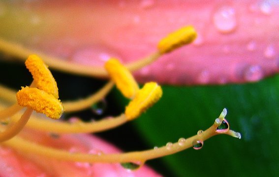 [IMG_1064b_small.jpg]