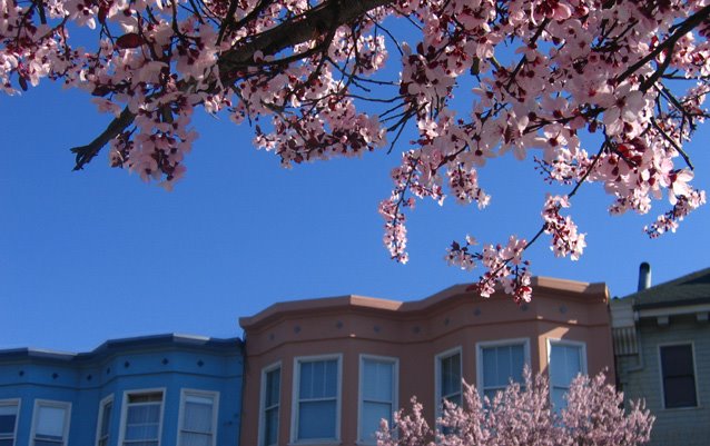 [innersunset03small.jpg]