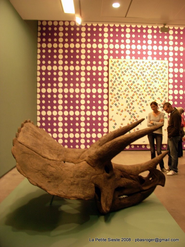 [R0016518.JPG]