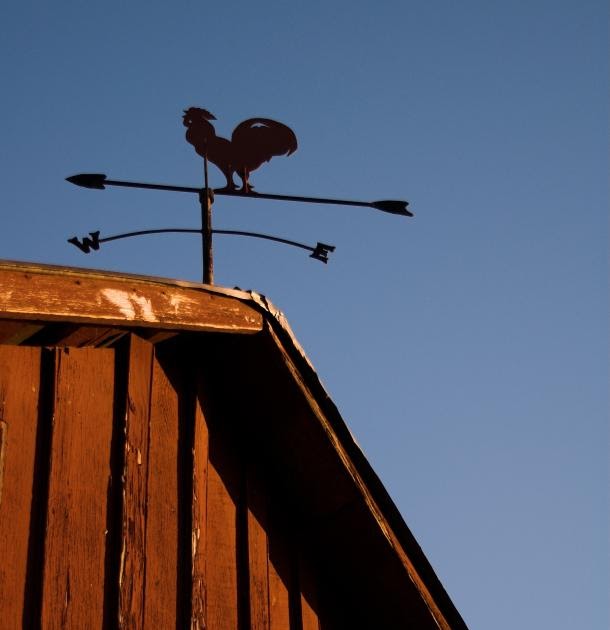 Old Sweetwater Cottage Weathervanes Tell Us More Than Wind Direction