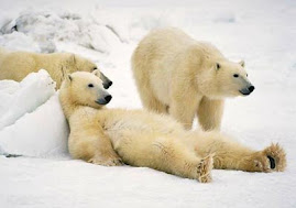 The Polar Sun Tan