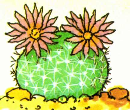 [cactus+6.gif]