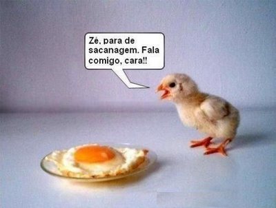 http://3.bp.blogspot.com/_N652m4tp5Fc/S6u-KQbcz-I/AAAAAAAAAAM/3Oj1X9N6olw/s1600/01%5B1%5D.jpg