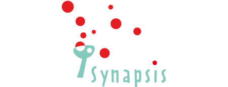 synapsis