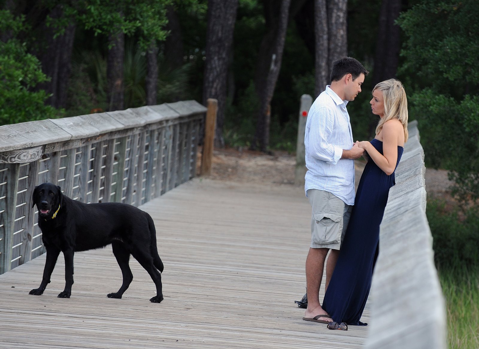 [randyblogDSC_5903.jpg]