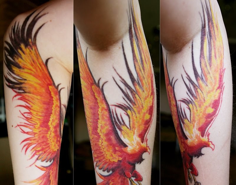 Gallery Tattoo Dragon: Phoenix tattoo is a symbol of eternal life