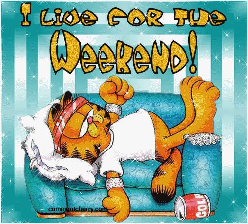 [garfield.bmp]