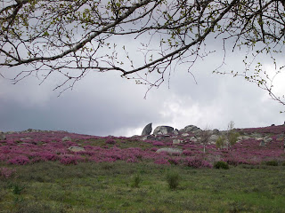 29.04.07, Serra de Montesinho, Bragança