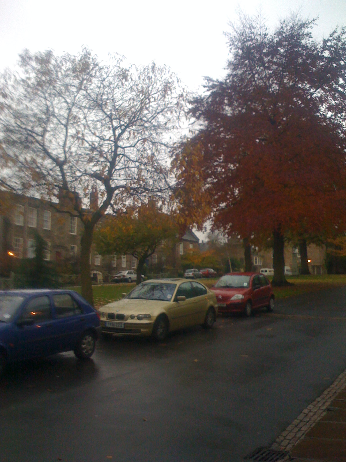 [IMG_0394.JPG]