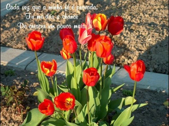 SÓ POR AMOR