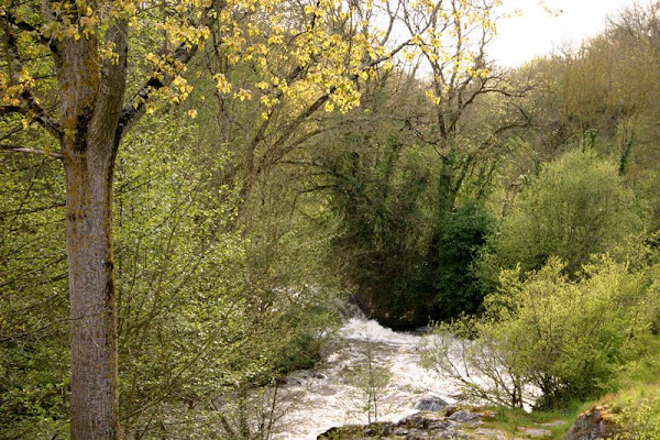 River from the old Roman bridge